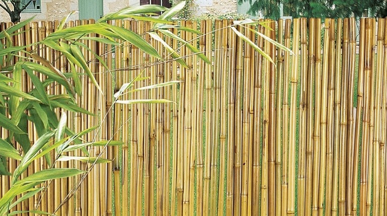 ALANYA BAMBU HASIR